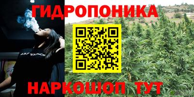 стаф Краснознаменск