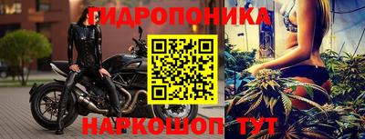 стаф Краснознаменск