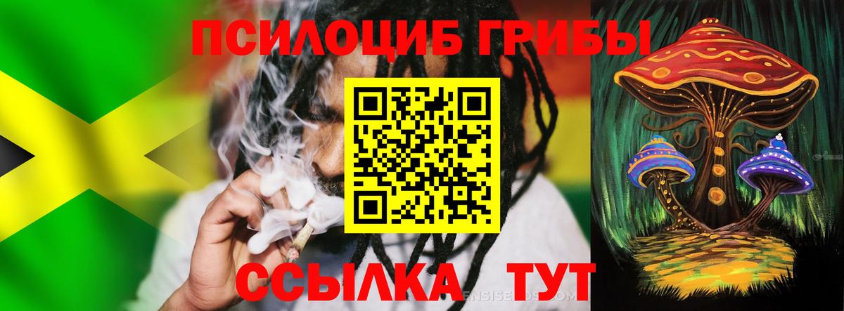 Псилоцибиновые грибы GOLDEN TEACHER Кострома